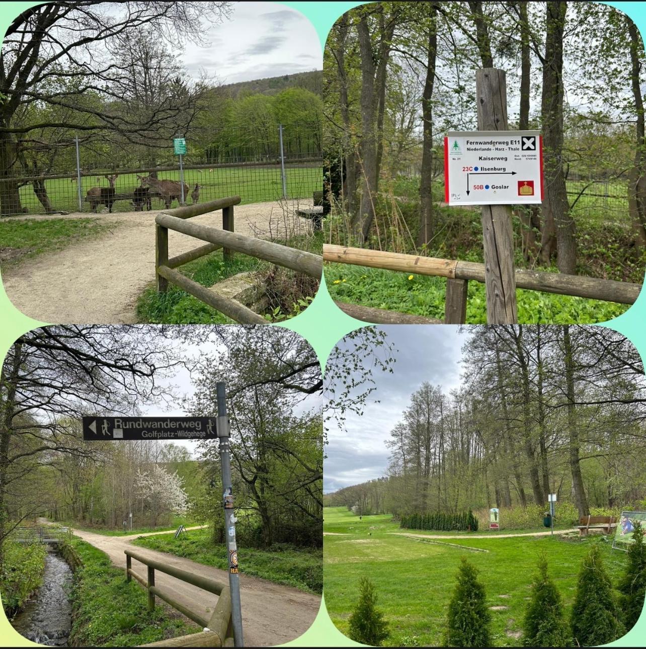 Ferienwohnung Kleine Auszeit am Wildgehege Bad Harzburg Exterior foto